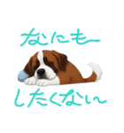 『セントバーナード』のスタンプ（個別スタンプ：4）