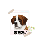 『セントバーナード』のスタンプ（個別スタンプ：18）