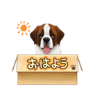 『セントバーナード』のスタンプ（個別スタンプ：30）