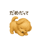 まるっと伝えるマルプー【もっと気持ち編】（個別スタンプ：23）