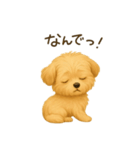 まるっと伝えるマルプー【もっと気持ち編】（個別スタンプ：38）