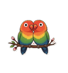 コザクラインコの夏（個別スタンプ：1）