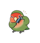 コザクラインコの夏（個別スタンプ：6）