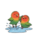 コザクラインコの夏（個別スタンプ：9）