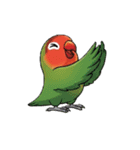コザクラインコの夏（個別スタンプ：10）