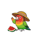 コザクラインコの夏（個別スタンプ：15）