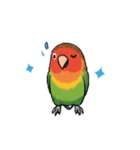 コザクラインコの夏（個別スタンプ：17）