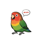 コザクラインコの夏（個別スタンプ：19）