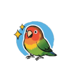 コザクラインコの夏（個別スタンプ：20）