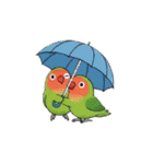 コザクラインコの夏（個別スタンプ：24）