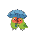 コザクラインコの夏（個別スタンプ：25）