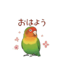 コザクラインコの夏（個別スタンプ：30）