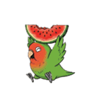 コザクラインコの夏（個別スタンプ：33）