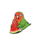 コザクラインコの夏（個別スタンプ：34）
