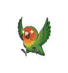コザクラインコの夏（個別スタンプ：36）