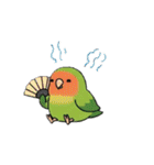 コザクラインコの夏（個別スタンプ：38）