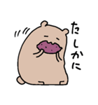 くまなやつ（個別スタンプ：36）