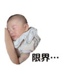 みんちゃ スタンプ（個別スタンプ：15）