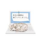 ゆるカワな動物たちのつぶやきスタンプ（個別スタンプ：9）