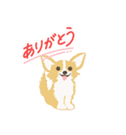 ゆるカワな動物たちのつぶやきスタンプ（個別スタンプ：27）