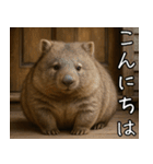 きゅーとウォンバット01（個別スタンプ：1）