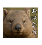 きゅーとウォンバット01（個別スタンプ：5）