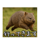 きゅーとウォンバット01（個別スタンプ：6）
