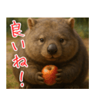 きゅーとウォンバット01（個別スタンプ：12）