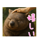 きゅーとウォンバット01（個別スタンプ：13）