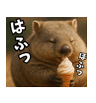 きゅーとウォンバット01（個別スタンプ：17）