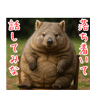 きゅーとウォンバット01（個別スタンプ：20）