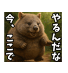 きゅーとウォンバット01（個別スタンプ：22）
