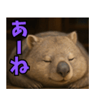 きゅーとウォンバット01（個別スタンプ：30）