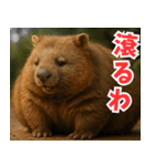 きゅーとウォンバット01（個別スタンプ：33）