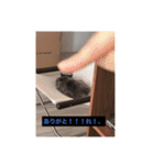 わたげと仲間（個別スタンプ：6）