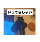 わたげと仲間（個別スタンプ：10）