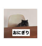 わたげと仲間（個別スタンプ：20）