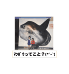 わたげと仲間（個別スタンプ：24）