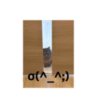 わたげと仲間（個別スタンプ：26）