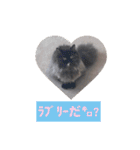 わたげと仲間（個別スタンプ：32）