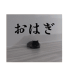 わたげと仲間（個別スタンプ：33）