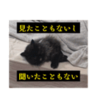 わたげと仲間（個別スタンプ：35）