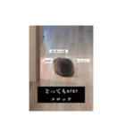 わたげと仲間（個別スタンプ：38）