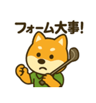ゴルフ好きな柴犬[スポーツ好き・友達に]（個別スタンプ：20）