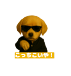 ワルかわ特攻隊！ワンコ＆ニャンコ（個別スタンプ：3）