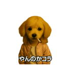 ワルかわ特攻隊！ワンコ＆ニャンコ（個別スタンプ：6）
