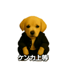 ワルかわ特攻隊！ワンコ＆ニャンコ（個別スタンプ：14）