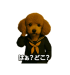 ワルかわ特攻隊！ワンコ＆ニャンコ（個別スタンプ：16）