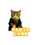ワルかわ特攻隊！ワンコ＆ニャンコ（個別スタンプ：27）