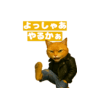 ワルかわ特攻隊！ワンコ＆ニャンコ（個別スタンプ：32）